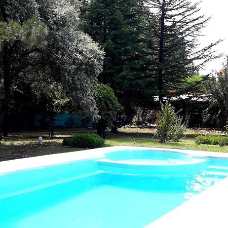 Casa Rural Entre Bodegas Y Vinedos ' El Jarillal" La Consulta ภายนอก รูปภาพ