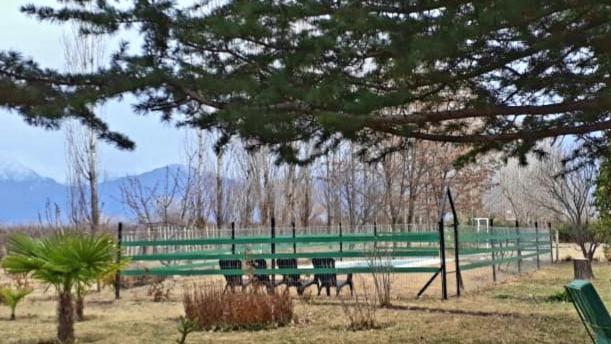 Casa Rural Entre Bodegas Y Vinedos ' El Jarillal" La Consulta ภายนอก รูปภาพ