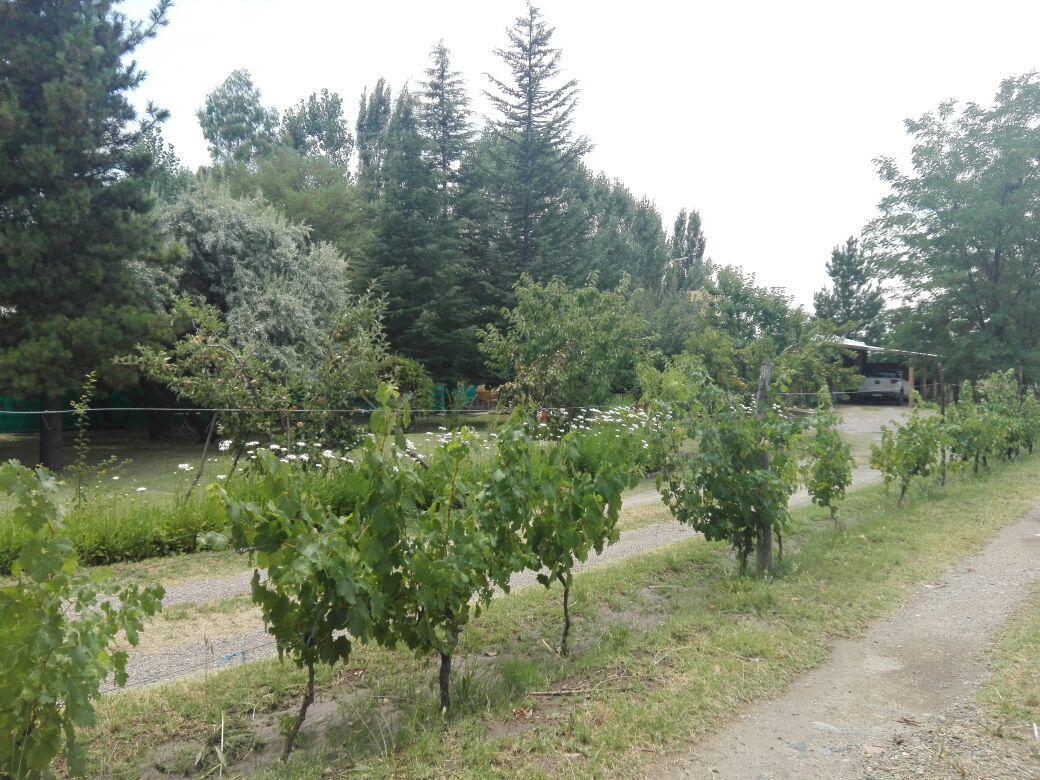 Casa Rural Entre Bodegas Y Vinedos ' El Jarillal" Guest House La Consulta ภายนอก รูปภาพ