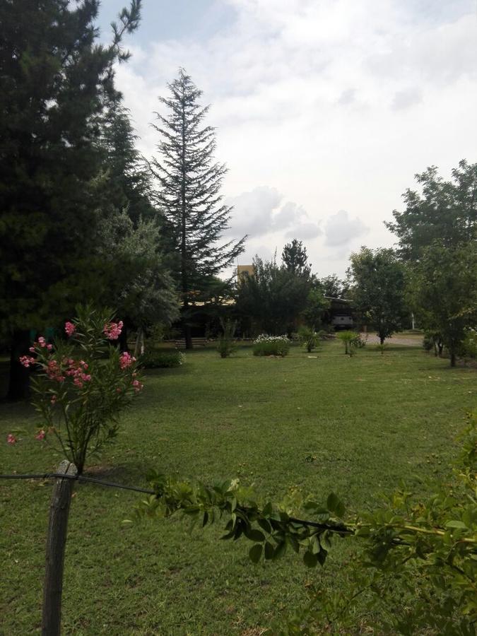 Casa Rural Entre Bodegas Y Vinedos ' El Jarillal" La Consulta ภายนอก รูปภาพ